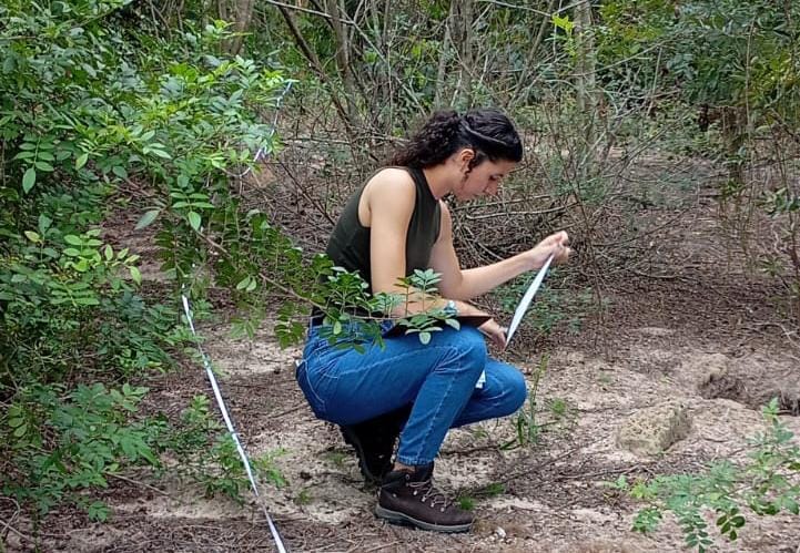 O que é uma consultoria ambiental e por que sua empresa precisa dela