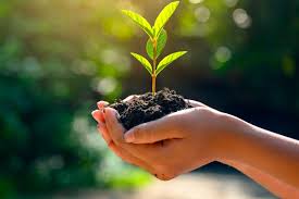 Consultoria ambiental assis